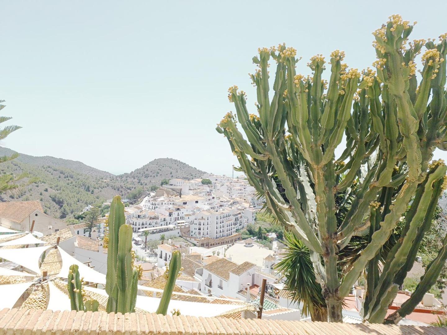 Las Pizarrillas: Tu Hogar En Este Blanco Pueblo Frigiliana Ngoại thất bức ảnh