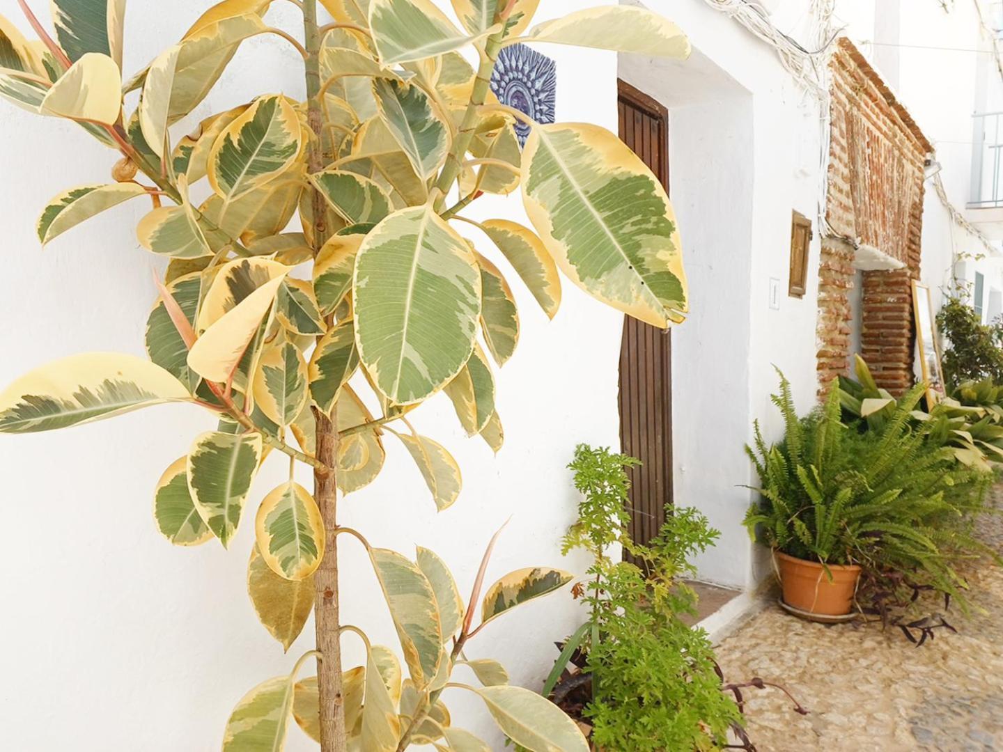 Las Pizarrillas: Tu Hogar En Este Blanco Pueblo Frigiliana Ngoại thất bức ảnh