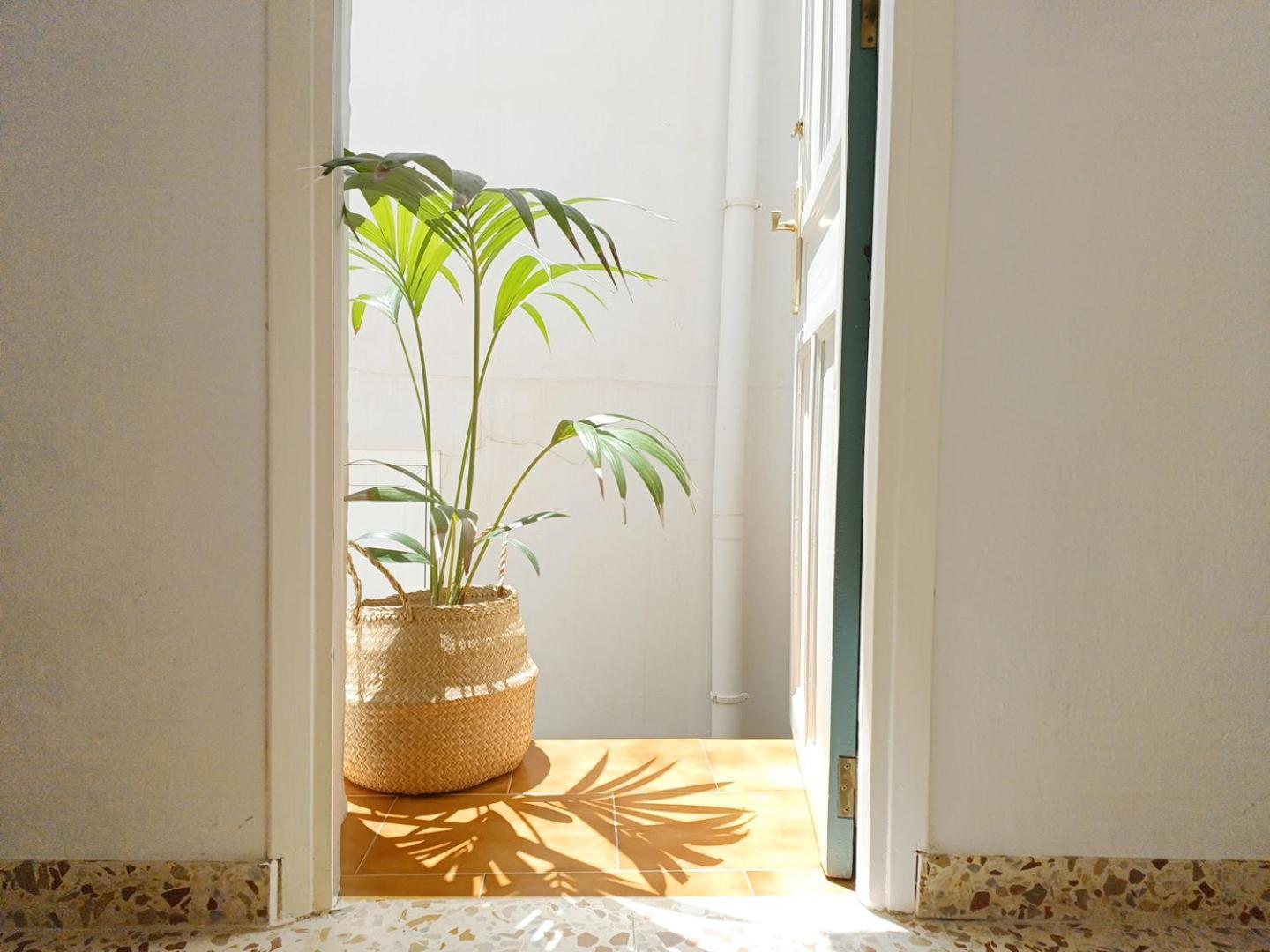 Las Pizarrillas: Tu Hogar En Este Blanco Pueblo Frigiliana Ngoại thất bức ảnh